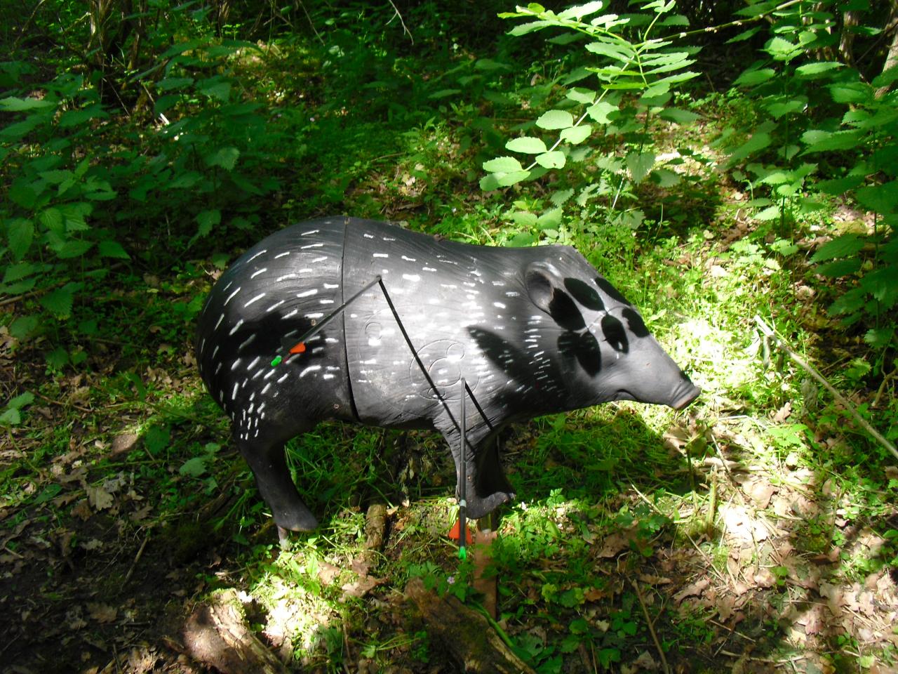 26c - tapir